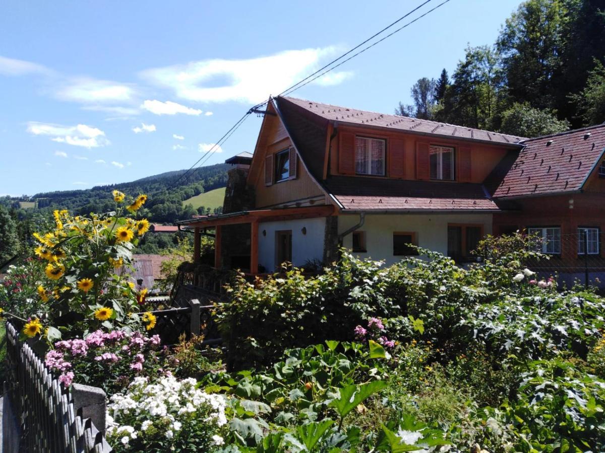Trattenbach  Ferienhaus Bauer מראה חיצוני תמונה